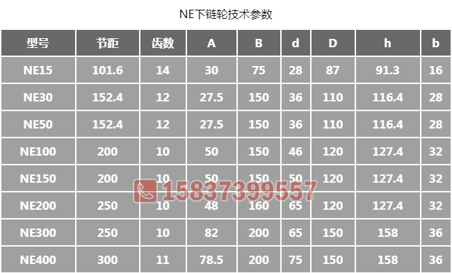 NE提升機(jī)下鏈輪尺寸